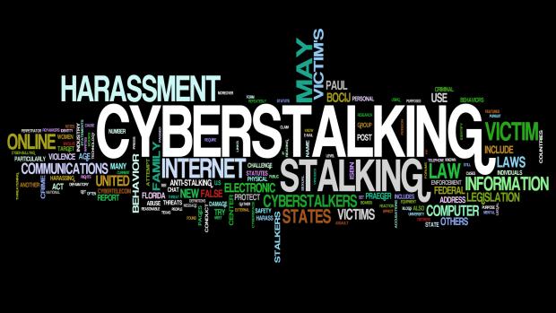 cyberstalking a case study of serial harassment in the uk